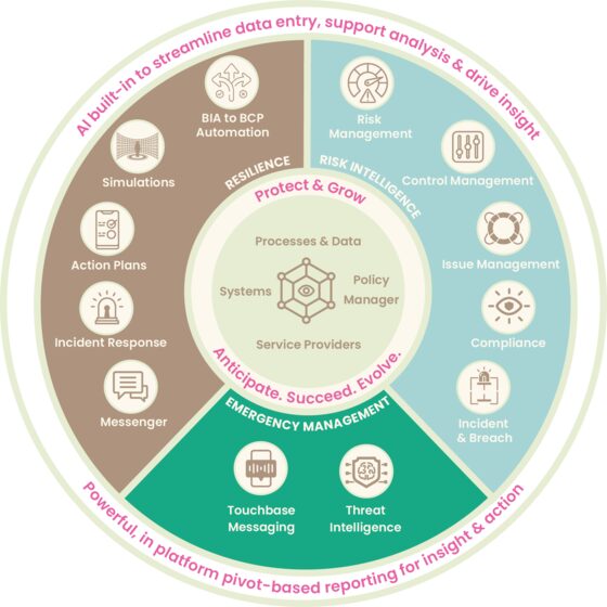 Risk & Resilience wheel
