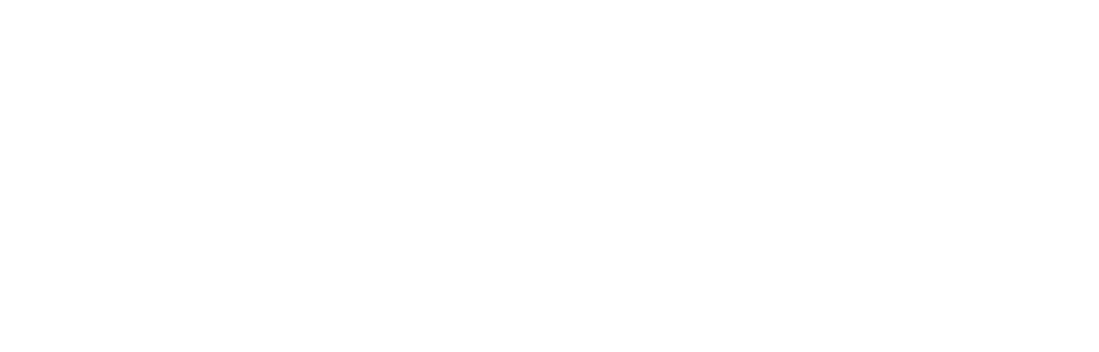 Wordmark (white)